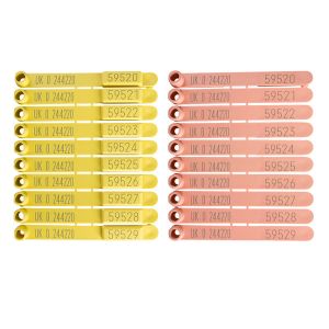 QWIK EiD Yellow and QWIK Visual Pink
