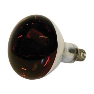 EF Heating Lamp 250W- Red- Break-Proof