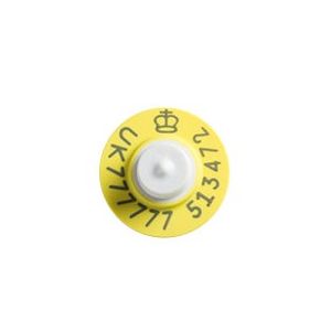 Ultra Button Secondary TST (BVD) Yellow