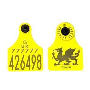 Ultra Senior Primary and Ultra Senior EiD HDX Secondary Yellow Circular Print - Welsh Dragon
