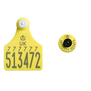 Ultra Senior TST Primary and Ultra Button EiD HDX Secondary Yellow