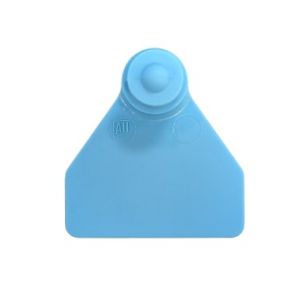 Ovina Female - Blue