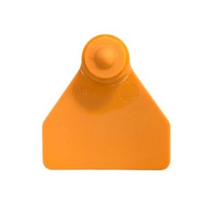 Ovina Female - Orange