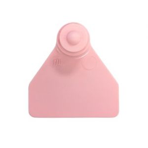 Ovina Female (2020) - Pink