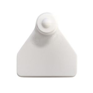 Ovina Female - White