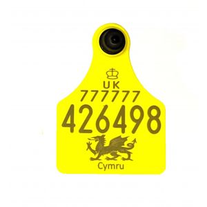 Replacement Ultra Senior Secondary Yellow - Welsh Dragon Cattle Tags
