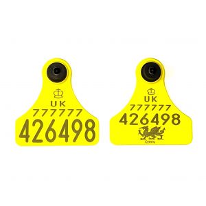 Replacement Ultra Junior Primary and Ultra Junior Secondary Yellow - Welsh Dragon Cattle Tags