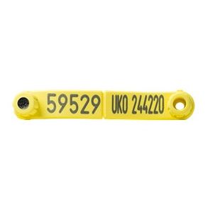 Bubblegum EiD Yellow Replica
