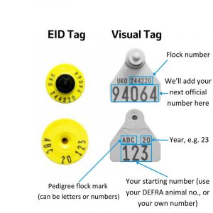 Mini EiD Button Yellow and Ovina Visual Purple Management