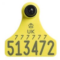 Replacement Ultra Junior Secondary Yellow Cattle Tags