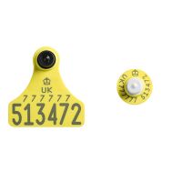 Ultra Junior Primary and Ultra Button TST Secondary Yellow