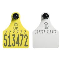 Replacement Ultra Senior Primary and Ultra Senior Secondary White with Management Space Cattle Tags