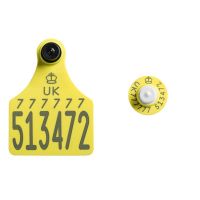 Ultra Senior Primary and Ultra Button TST Secondary Yellow