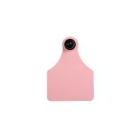 Ultra Senior Female Pink Blank